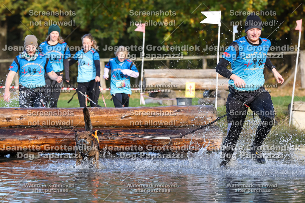 Dog Paparazzi - Strongdog 10-25-8576 | Dog Paparazzi Jeanette Grottendiek Fotografie & Videografie - Realisiert mit Pictrs.com