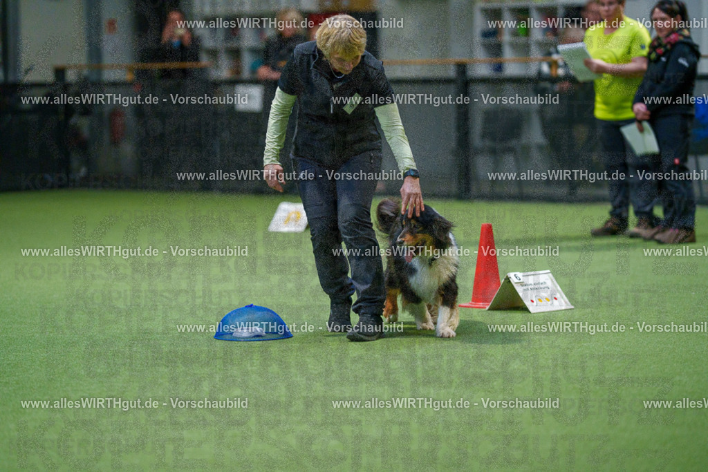 7R504240 | Professionelle Tierfotografie in Mönchengladbach von Daniel Wirth (allesWIRTHgut). Liebevolle & natürliche Bilder von Hunden & Katzen für unvergessliche Erinnerungen.