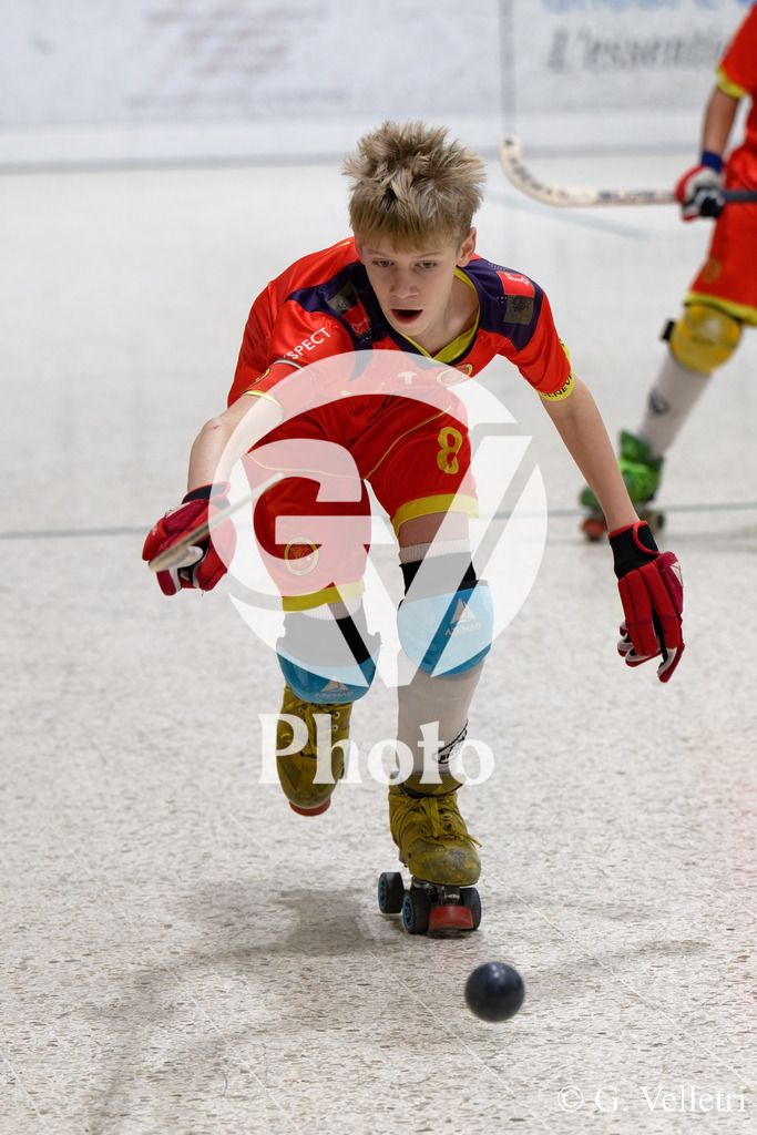 DSC_0662 | Velletri Photo