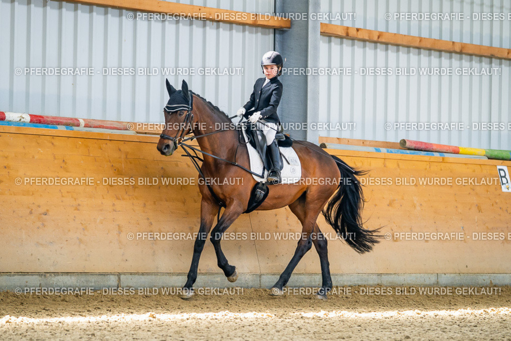 DSC02599 | Pferdegrafie