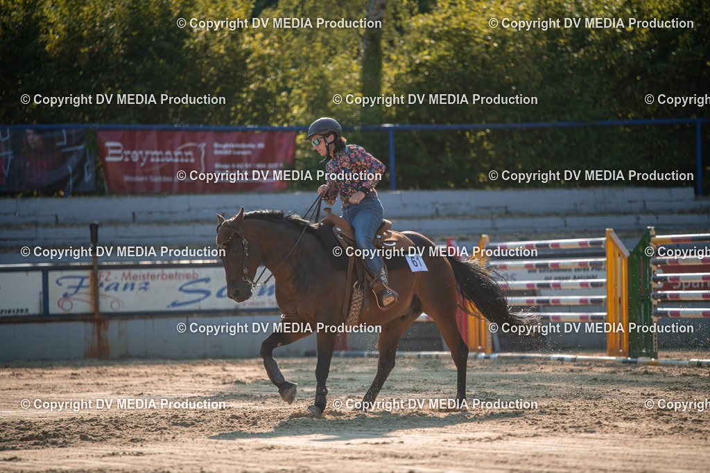 ZS2_8966 | dv-media-shop - Realisiert mit Pictrs.com