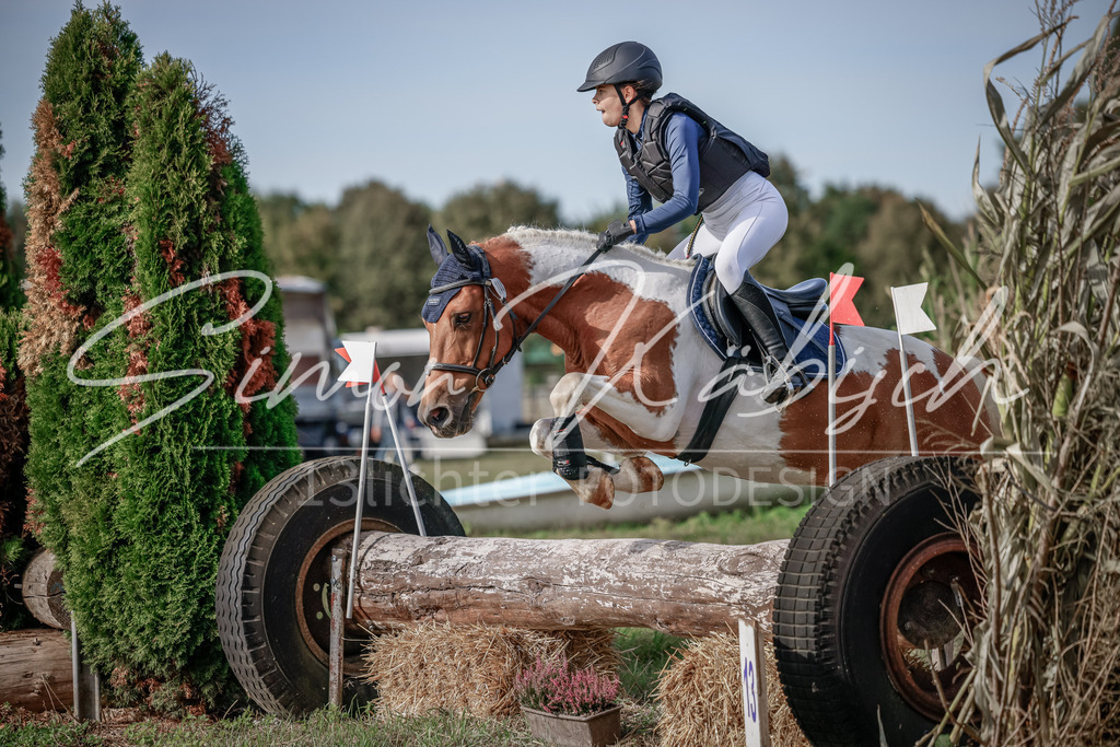 20250907-_3LI9249 | Tierfotografie Pferde, Hunde, Katzen, Haustiere.
Turnierfotografie Reitturniere, Reiten, Springreiten, Dressur in Hanau, dem Main-Kinzig-Kreis und dem Rhein-Main- Gebiet um Frankfurt