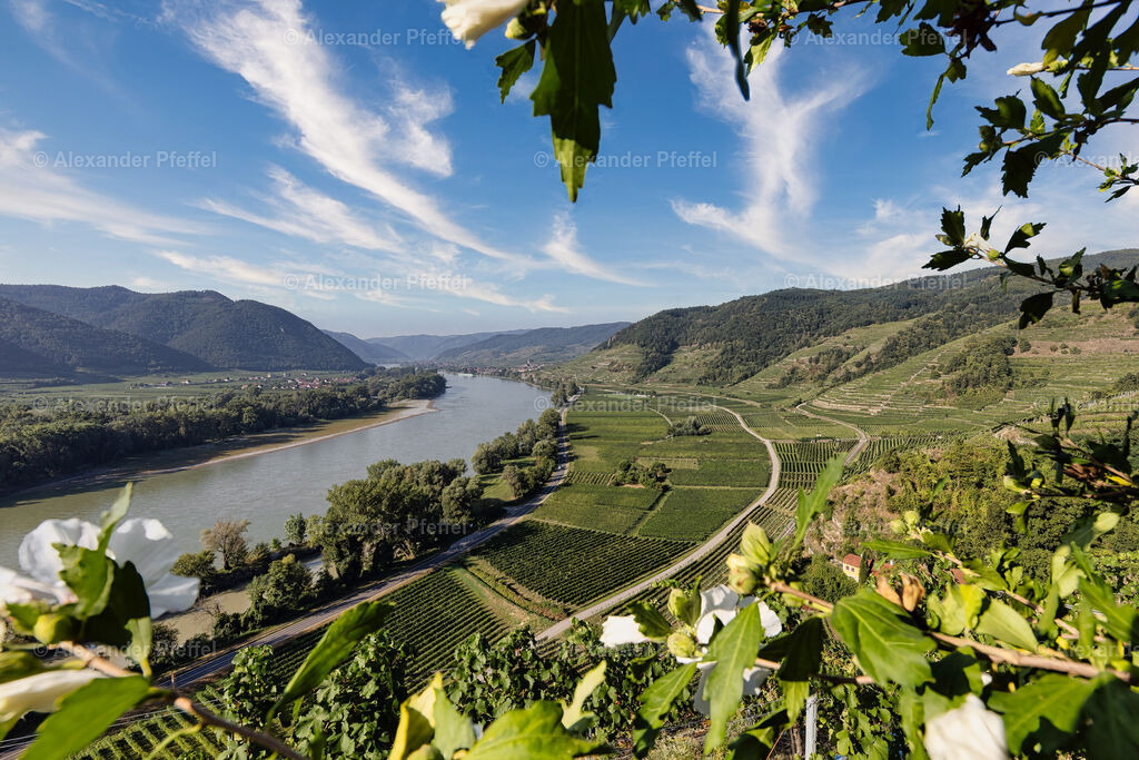 foto_c_pfeffel-partner-0022-R5_11624-Bearbeitet | alexander-pfeffel - Realisiert mit Pictrs.com