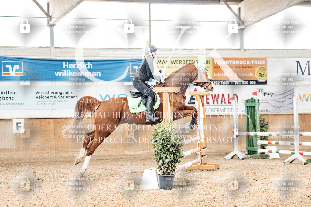 CK905456 | Turnierfotografie Pferdefotografie Trier Rheinland-Pfalz Pferdesport Reitsport Tierfotografie Sportfotografie Pferdevideo Pferdevideografie Equestrianvideography equestrianphotography  - Realized with Pictrs.com