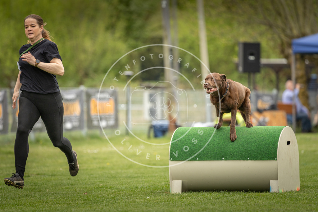 Pfotenfotografie_DV3A0992 | Hundefotografie, Tierfotograf, Pfotenfotografie, Fotoshooting Hund, Hunde Portrait, Hundesport, Hundeportraits, Heideshooting, Hunde, Sportfotograf, Hundefotograf, Turnierhundsport, THS,  - Realisiert mit Pictrs.com
