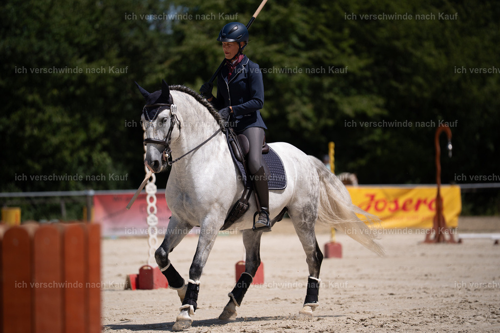 WS_ST_11_stoibphotography_SO11131 | working equitationturnier fotograf videograf stoibphotography marixx film working equitation deutschland reitsport turnierfotografie eventfotografie equestrian events
