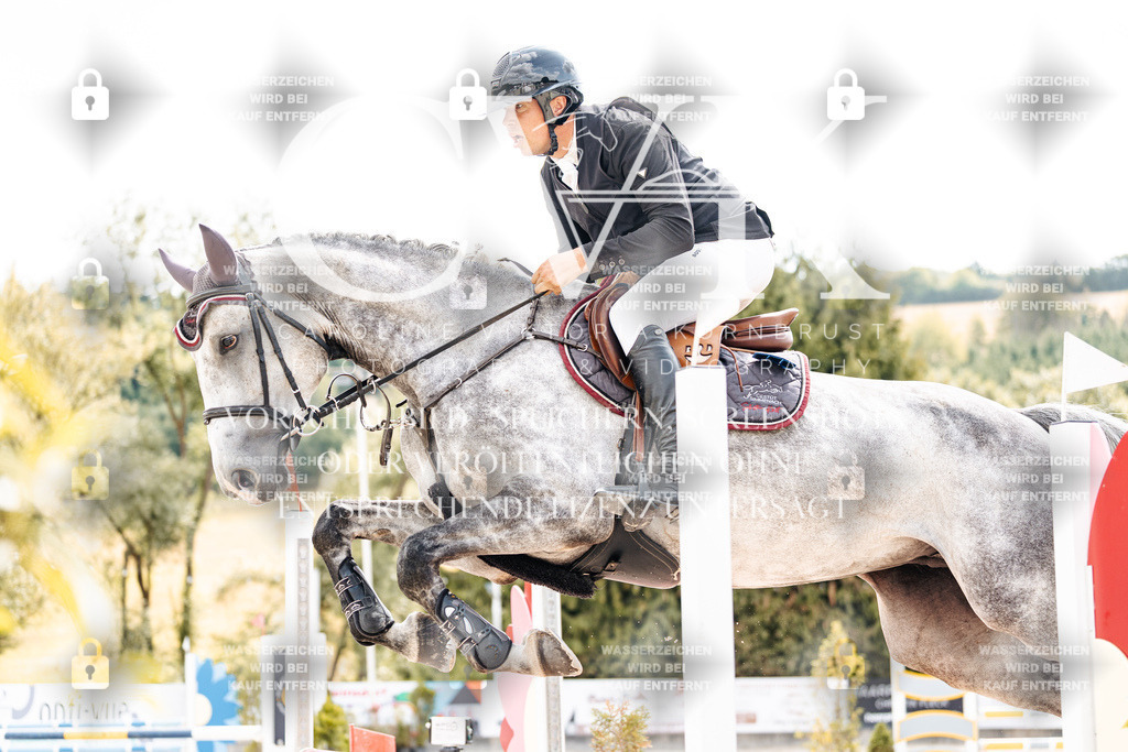 CK909170 | Turnierfotografie Pferdefotografie Trier Rheinland-Pfalz Pferdesport Reitsport Tierfotografie Sportfotografie Pferdevideo Pferdevideografie Equestrianvideography equestrianphotography  - Realisiert mit Pictrs.com