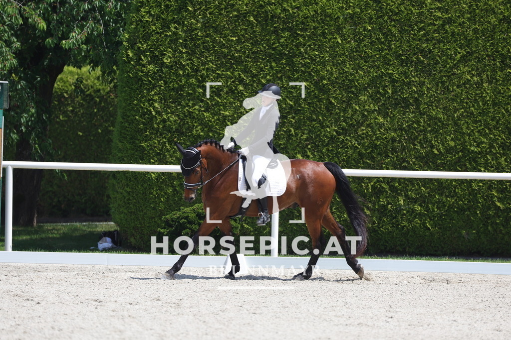 0P6A5830 | Willkommen bei Brunnmayr - Design & Fotografie – Ihrem Spezialisten für Reitturniere und Pferdeveranstaltungen in Oberösterreich, Salzburg und Bayern! Seit über 17 Jahren sind wir leidenschaftlich dabei.