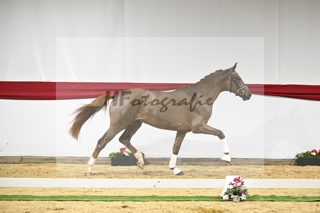 Kat-Nr. 56 v. Feinrich_Fink_63221697 | hf-fotografie - Realizzato con Pictrs.com