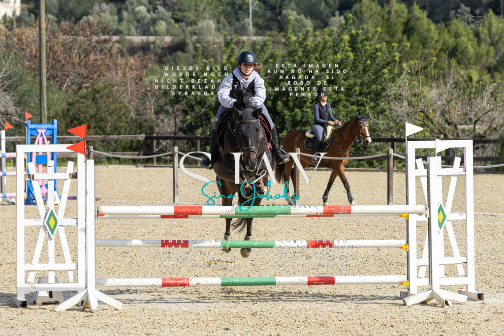 IMG_4386 | s-jay-photography - Realisiert mit Pictrs.com