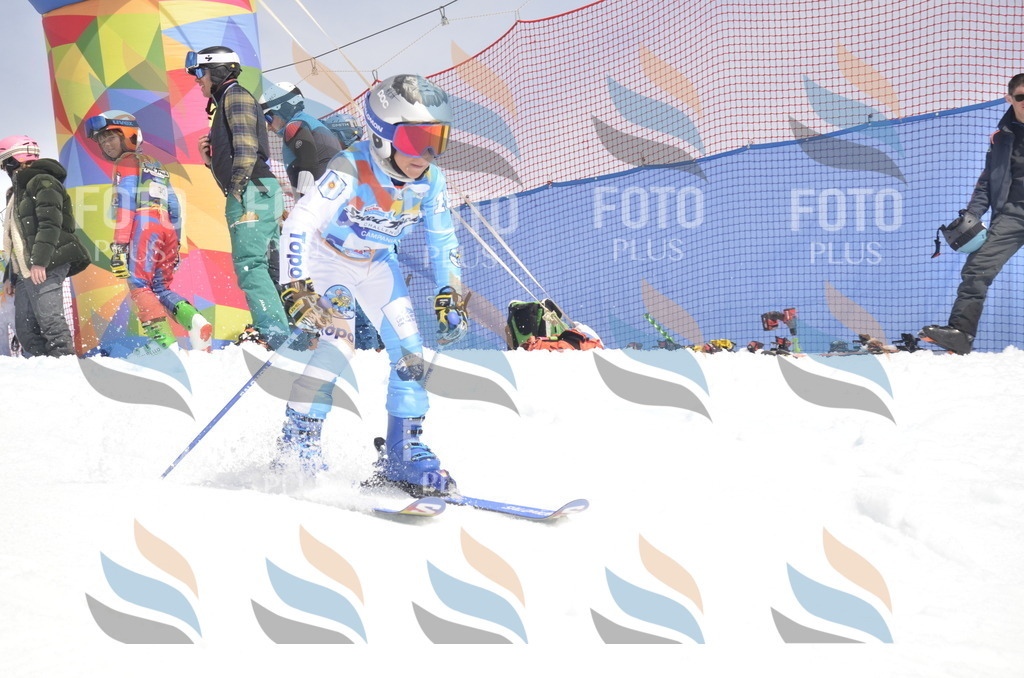 _ELE8640 | holidayphoto