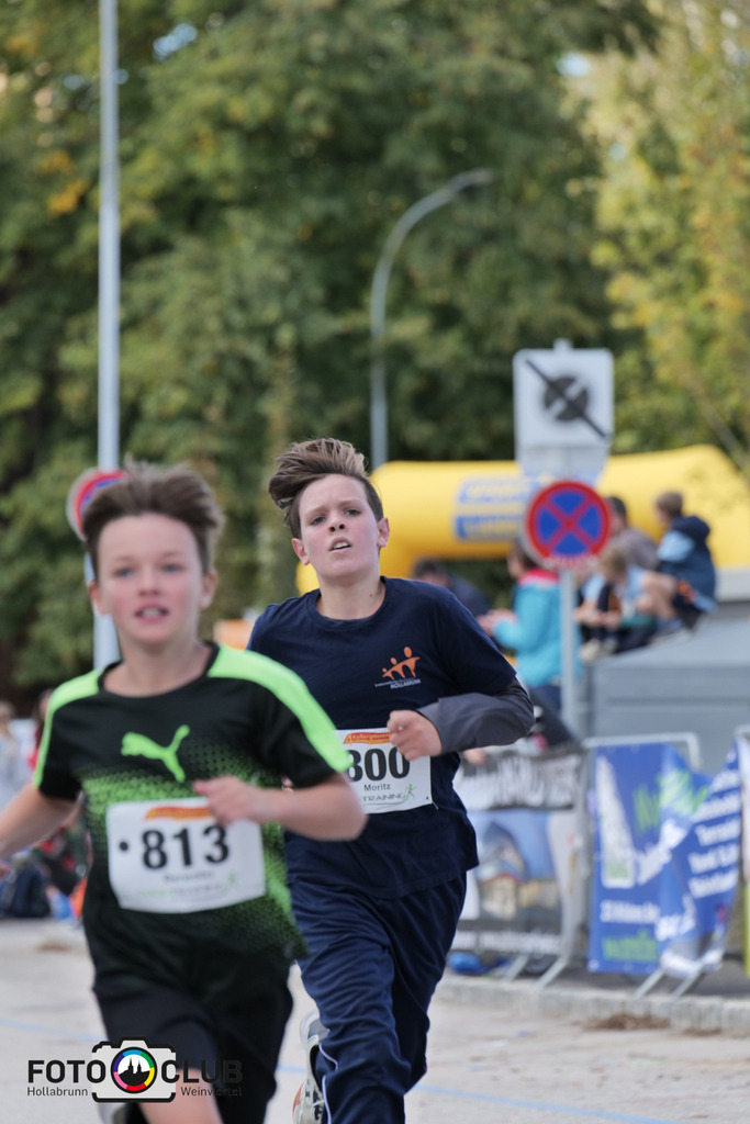 D (486) | Foto Buchgraber