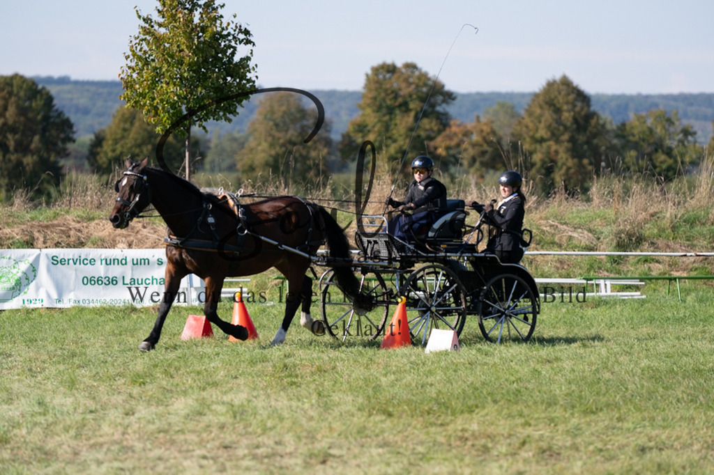 A7V04346 | Pferdefotograf