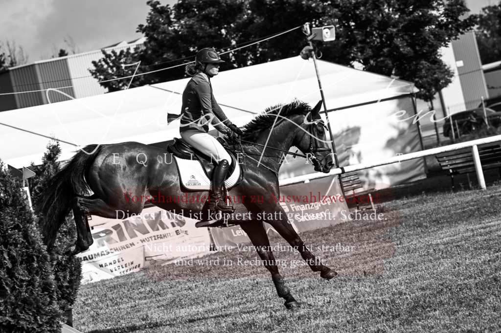 DSC_7554 | Pferde- und Turnierfotografie in Westsachsen. Pferdeportraits, Auftragszeichnungen und intuitive Kunst.