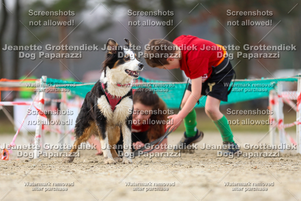 Dog Paparazzi - Strongdog North Mrz26-4218 | Dog Paparazzi Jeanette Grottendiek Fotografie & Videografie - Realisiert mit Pictrs.com