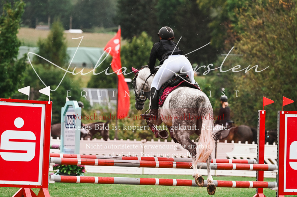 DSC_6360 | Pferde- und Turnierfotografie in Westsachsen. Pferdeportraits, Auftragszeichnungen und intuitive Kunst.