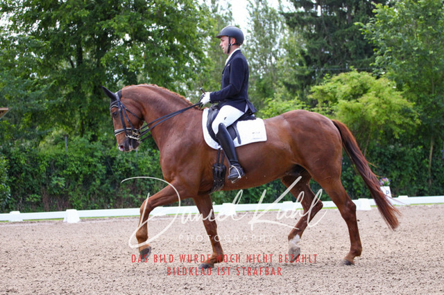DKP40898 | Turnierfotos kaufen im Webshop von Daniel Kuhl Photography – entdecke professionelle Reitsportfotos aus Turnieren & Events. Hochwertige Turnierbilder online bestellen & sichern. Jetzt Fotos von Reitsportturnieren kaufen!