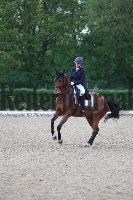 Böblingen_2023_Prfg_Nr.01_Dressur_Kl.S_Kür_Stefanie Lempert_Latifa 11 (15) | Alle Fotos der Reiterjournal Fotografin Doris Matthaes im Reiterjournal Online-Fotoshop. - Realisiert mit Pictrs.com