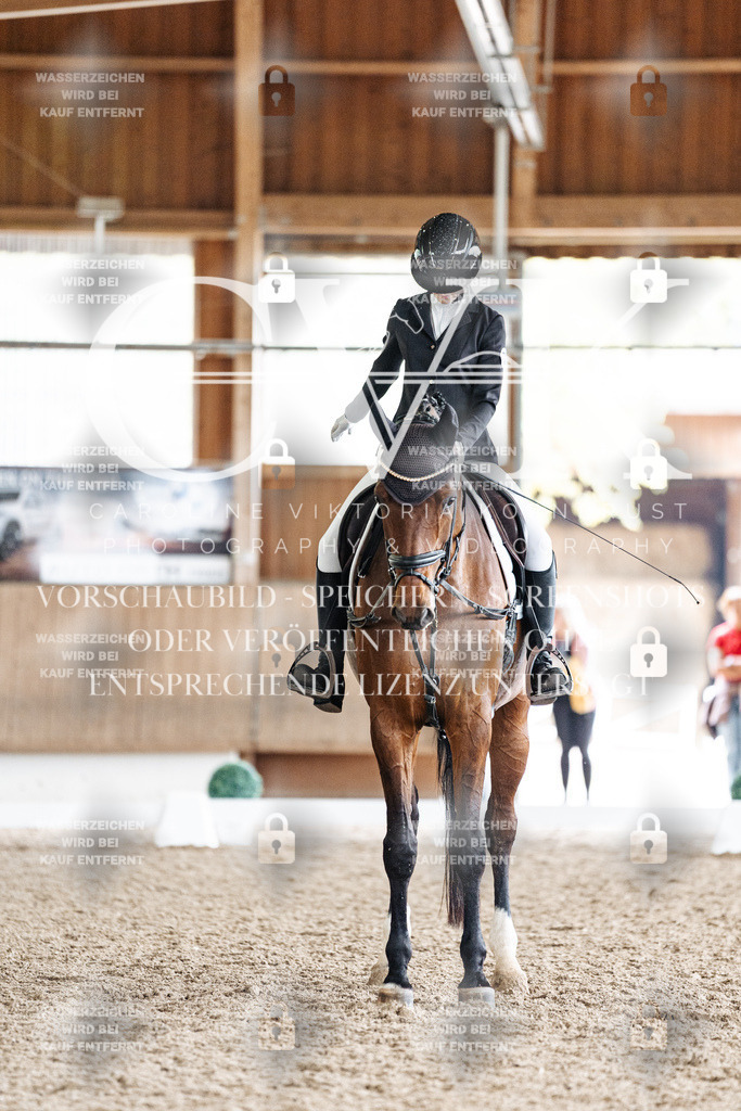 CK900772 | Turnierfotografie Pferdefotografie Trier Rheinland-Pfalz Pferdesport Reitsport Tierfotografie Sportfotografie Pferdevideo Pferdevideografie Equestrianvideography equestrianphotography  - Realisiert mit Pictrs.com