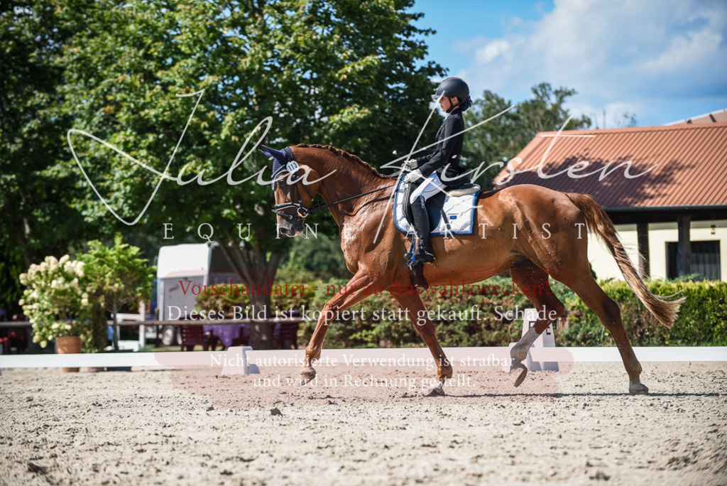 DSC_9516 | Pferde- und Turnierfotografie in Westsachsen. Pferdeportraits, Auftragszeichnungen und intuitive Kunst.