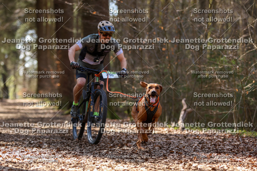 Dog Paparazzi - VCC26-1358 | Dog Paparazzi Jeanette Grottendiek Fotografie & Videografie - Realisiert mit Pictrs.com