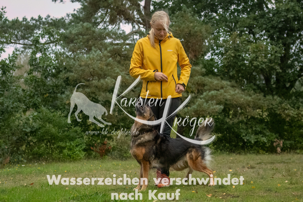 0918_ZZ90209-Bearbeitet | kk-dogfotos