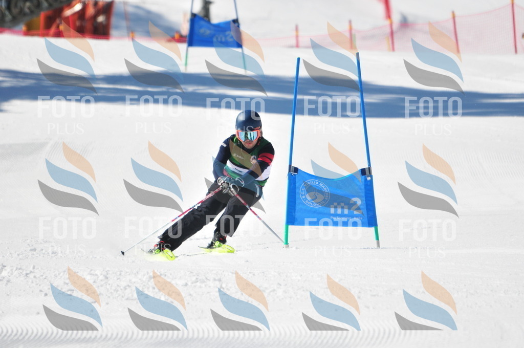 C3321 | holidayphoto