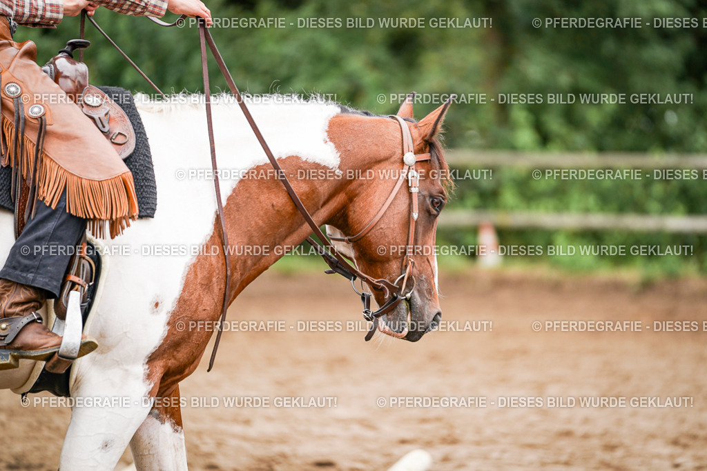 DSC04109 | Pferdegrafie