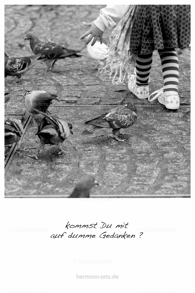 PK_Zitate_10x15_BW-127 | Photo Foto Kunst Art schwarzweiss Bilder Rheine Münster Berlin Blumen 