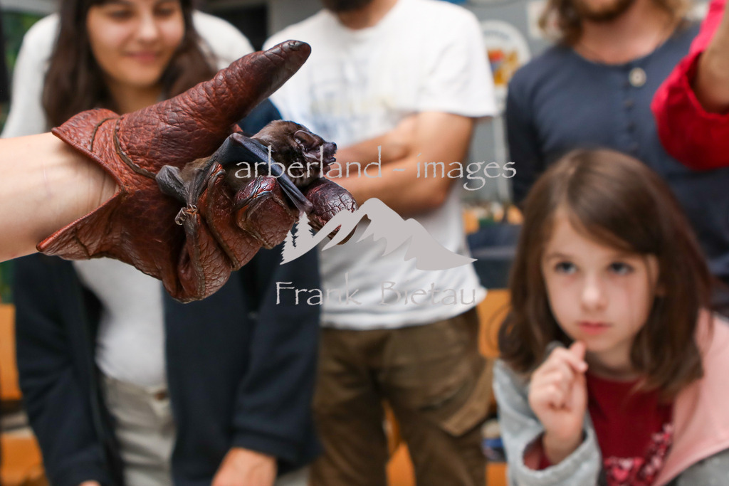 OE7A6217 | auch ein lebendes Exemplar zur Anschauung