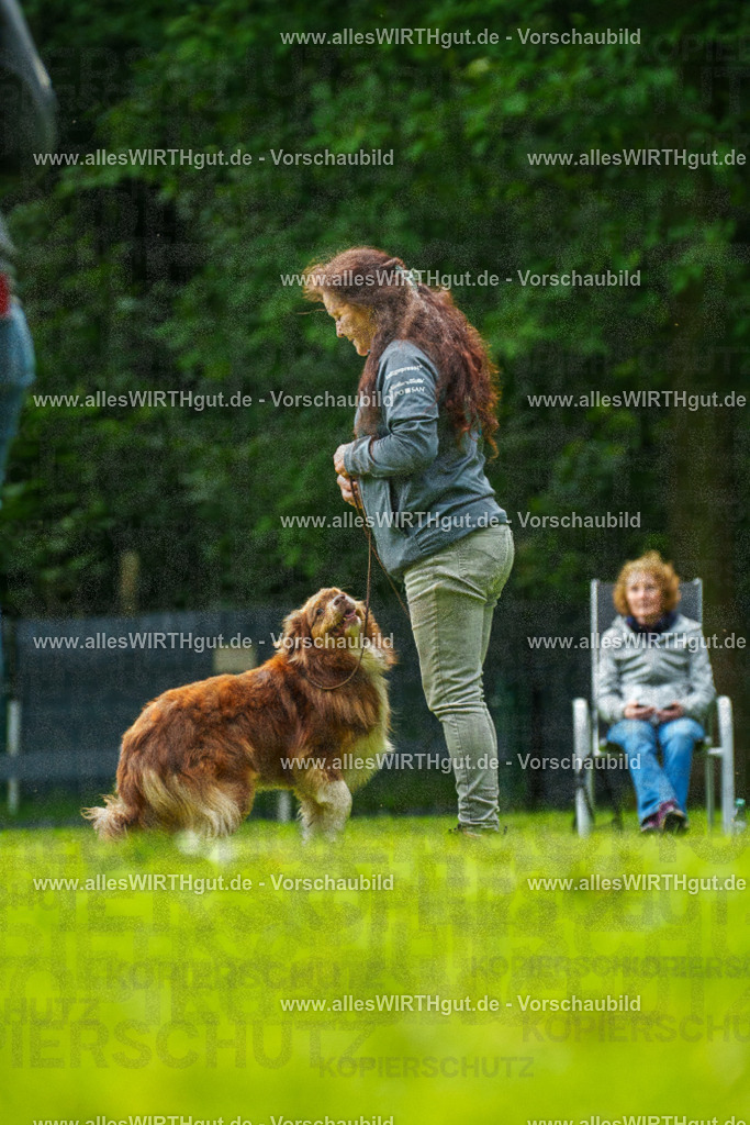 @allesWIRTHgut_Tierfotografie - www.allesWIRTHgut.de - 7R505152 | Professionelle Tierfotografie in Mönchengladbach von Daniel Wirth (allesWIRTHgut). Liebevolle & natürliche Bilder von Hunden & Katzen für unvergessliche Erinnerungen.