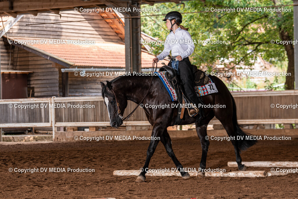 Erbach Tag 2-240 | dv-media-shop - Realisiert mit Pictrs.com