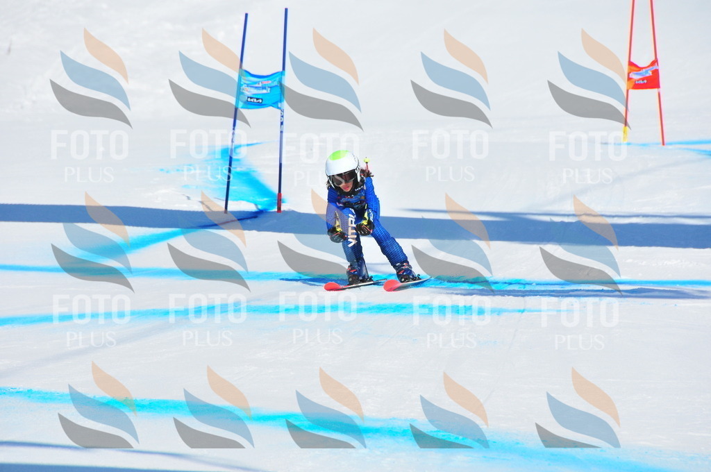 DSC_0893 | holidayphoto