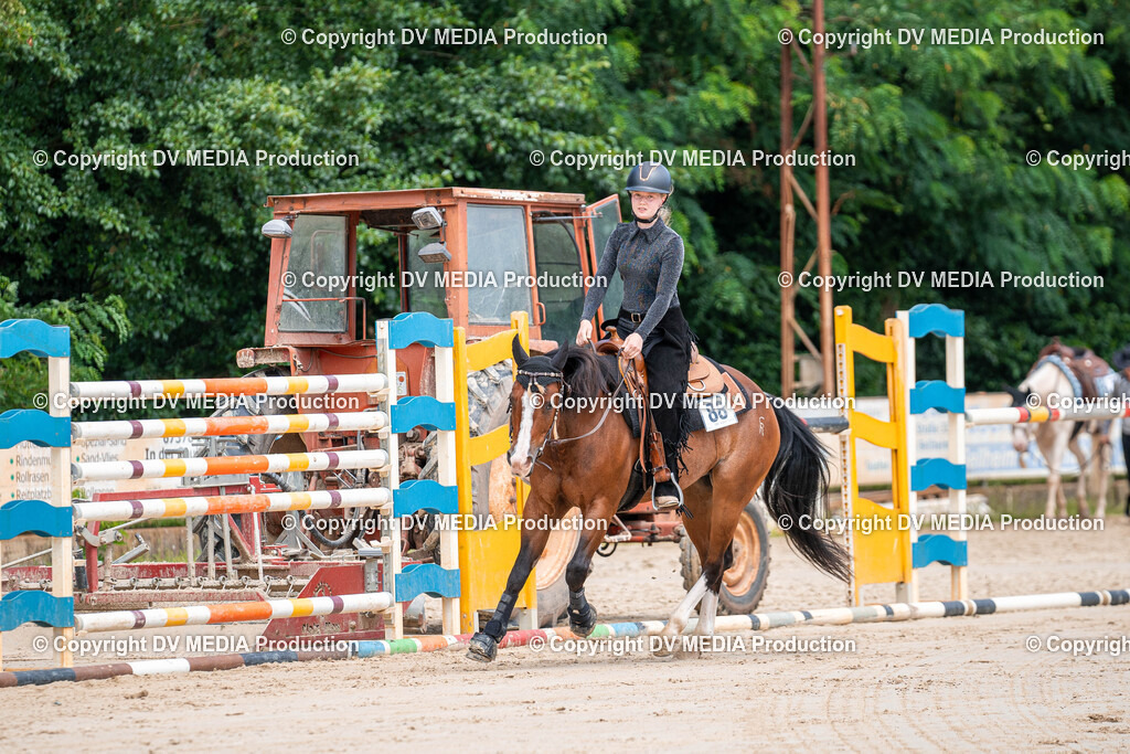 Zeiskam Tag 3-792 | dv-media-shop - Realisiert mit Pictrs.com