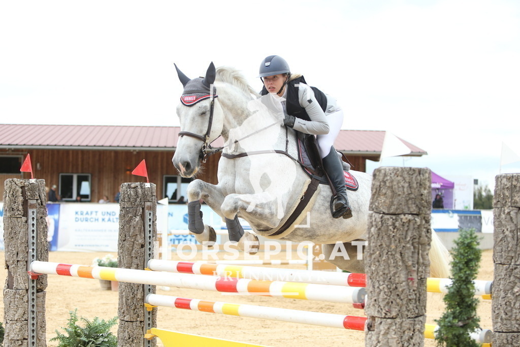 DL2Q5166 | Willkommen bei Brunnmayr - Design & Fotografie – Ihrem Spezialisten für Reitturniere und Pferdeveranstaltungen in Oberösterreich, Salzburg und Bayern! Seit über 17 Jahren sind wir leidenschaftlich dabei.