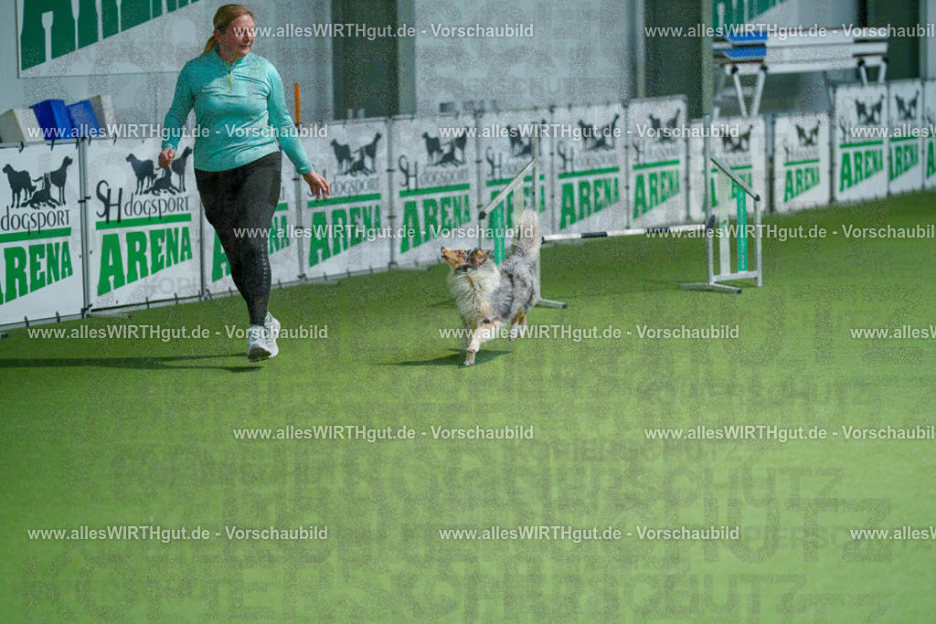 @allesWIRTHgut_Tierfotografie - www.allesWIRTHgut.de - 2604250845-7R507664 | Professionelle Tierfotografie in Mönchengladbach von Daniel Wirth (allesWIRTHgut). Liebevolle & natürliche Bilder von Hunden & Katzen für unvergessliche Erinnerungen.