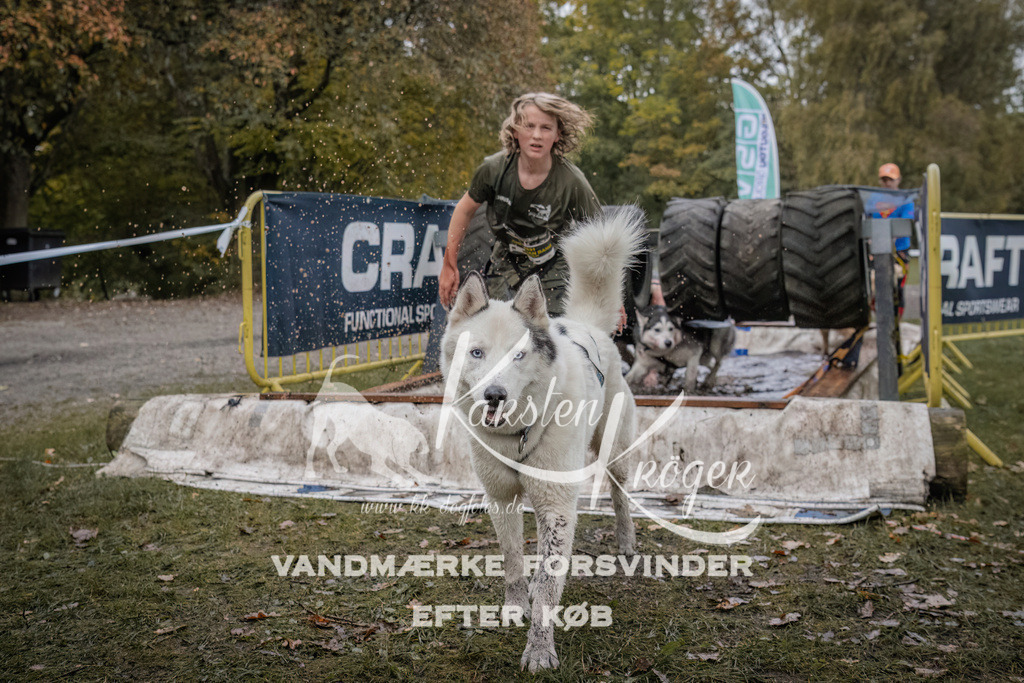 1644_ZZ93967 | kk-dogfotos