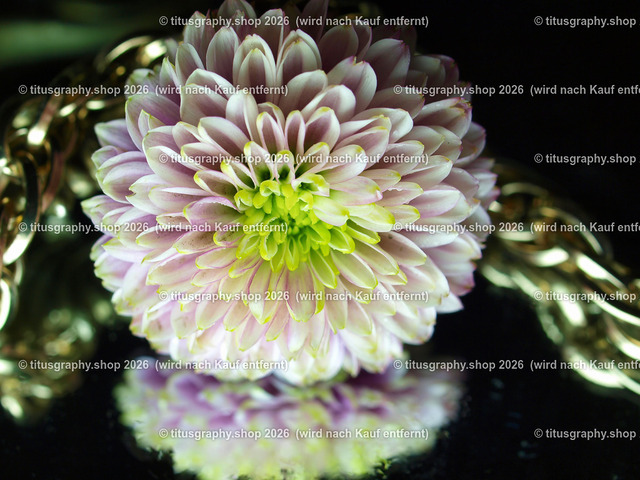 titusgraphy_P7098950-vz-ln | titusgraphy-shop: Geschenkideen mit Qualitätsfotos. titusgraphy-shop: gift ideas with quality photos. titusgraphy-shop: idées cadeaux avec photos de qualité.  - Realisiert mit Pictrs.com