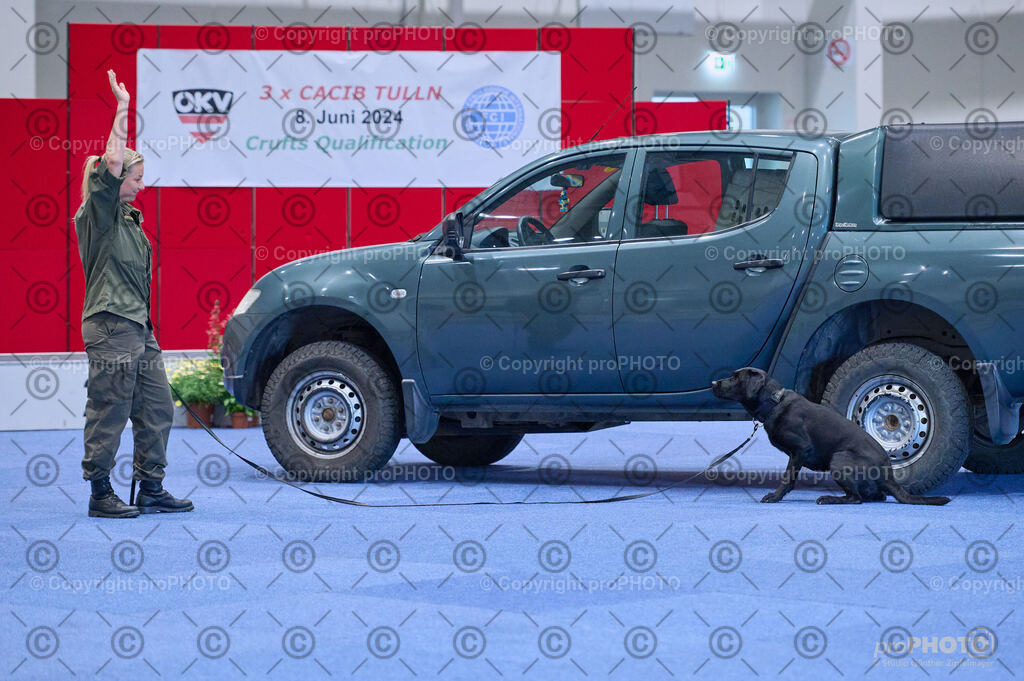 202406_ÖKV-IHA-Tulln24_DSC_3589 | proPHOTO - Realisiert mit Pictrs.com