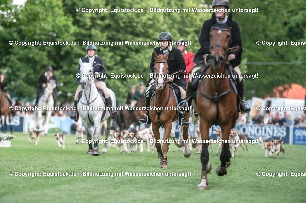 20230526_Pferdenacht_0525 | equistock