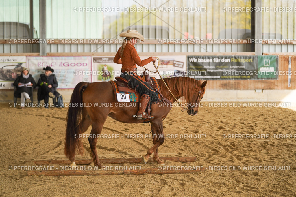 DSC01093 | Pferdegrafie