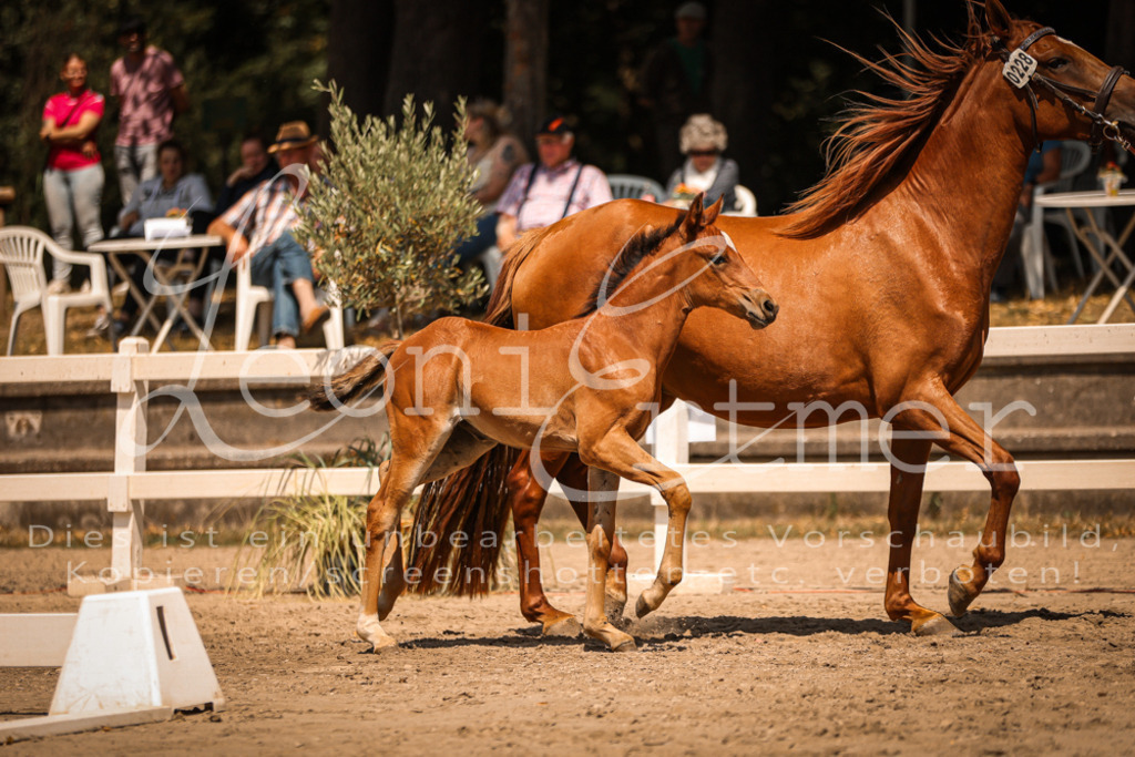 03.DoAB00054 | Leoni Ertmer Photography - Realisiert mit Pictrs.com