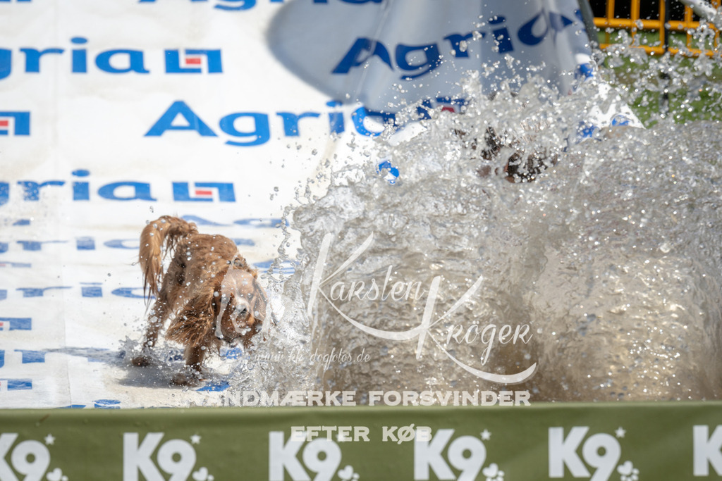 1220_ZZ96029 | kk-dogfotos