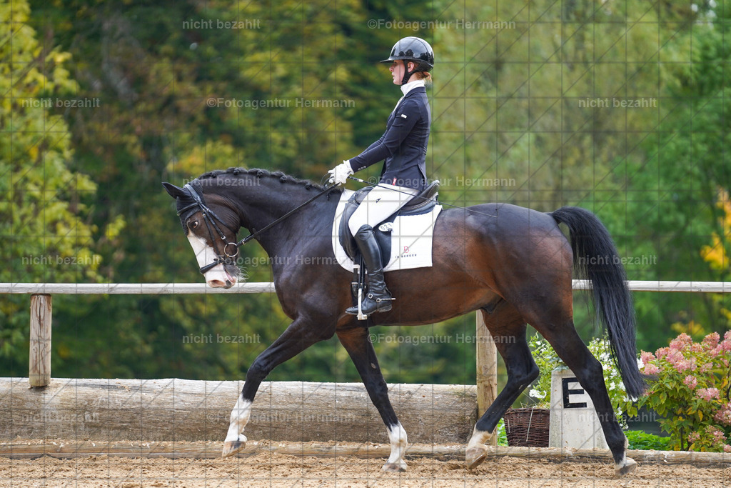 20221008-FAH01066 | Diessen am Ammersee, 2022, Dressur- und Springturnier, Reitsportbilder, Turnierfotografen Bayern, Pferdefotografen, Fotoagentur Herrmann, Turnierbilder