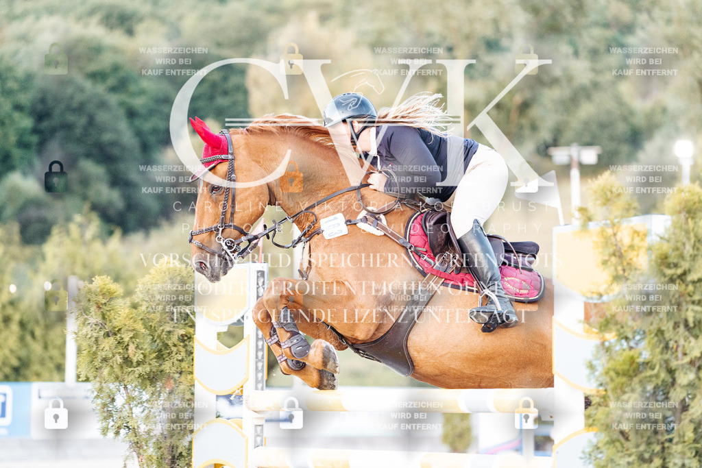 CK901410 | Turnierfotografie Pferdefotografie Trier Rheinland-Pfalz Pferdesport Reitsport Tierfotografie Sportfotografie Pferdevideo Pferdevideografie Equestrianvideography equestrianphotography  - Realisiert mit Pictrs.com