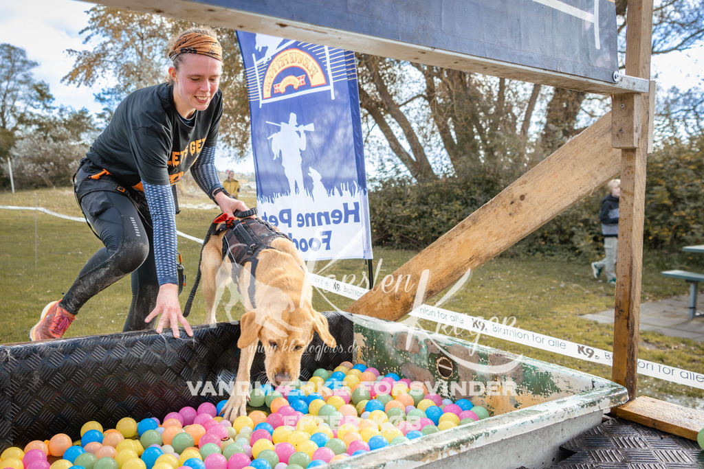 1412_ZZ93935-2 | kk-dogfotos