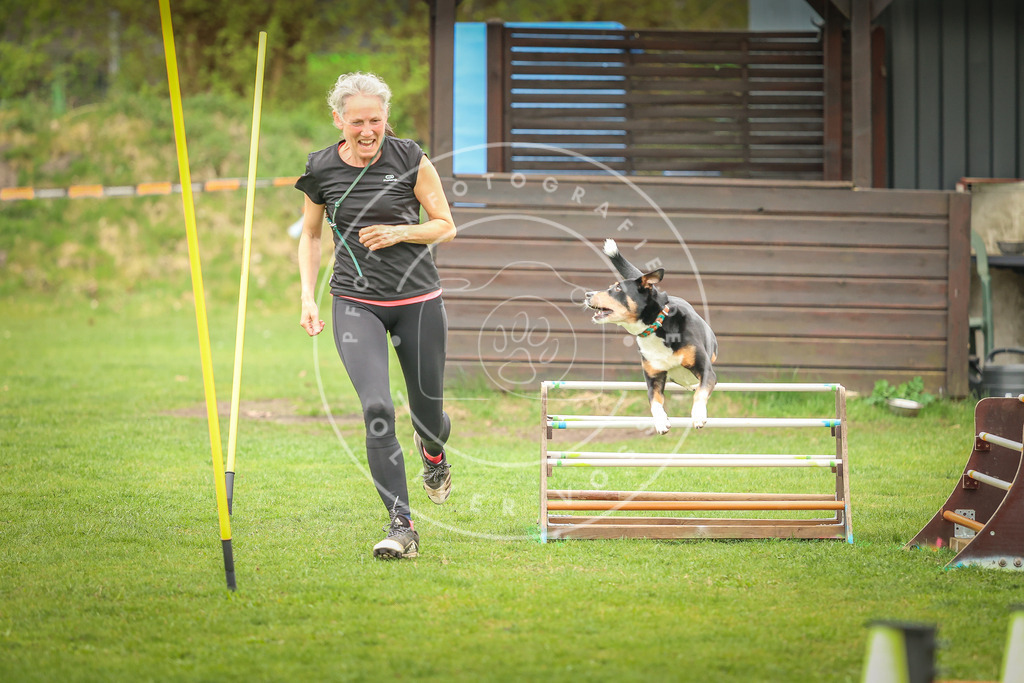 Pfotenfotografie_0L8A0053 | Hundefotografie, Tierfotograf, Pfotenfotografie, Fotoshooting Hund, Hunde Portrait, Hundesport, Hundeportraits, Heideshooting, Hunde, Sportfotograf, Hundefotograf, Turnierhundsport, THS,  - Realisiert mit Pictrs.com