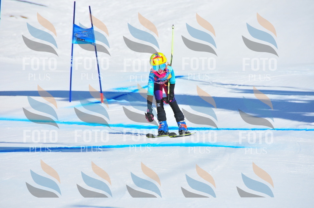 DSC_4179 | holidayphoto