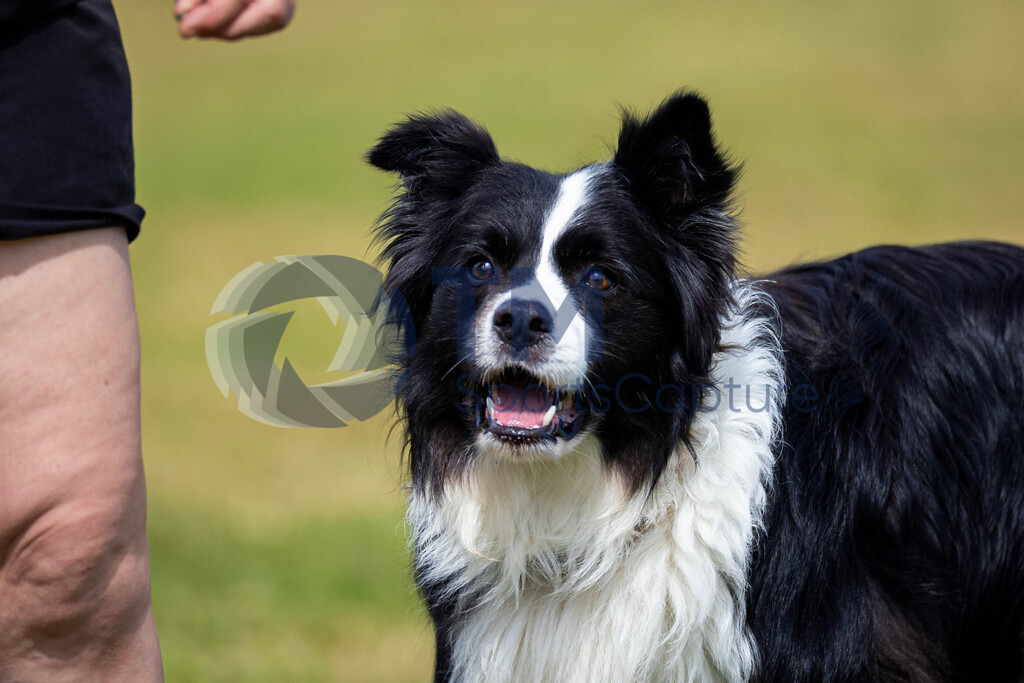 TP-20240815-0107 | Copyright: Trainproduction / Matthias Trinkl