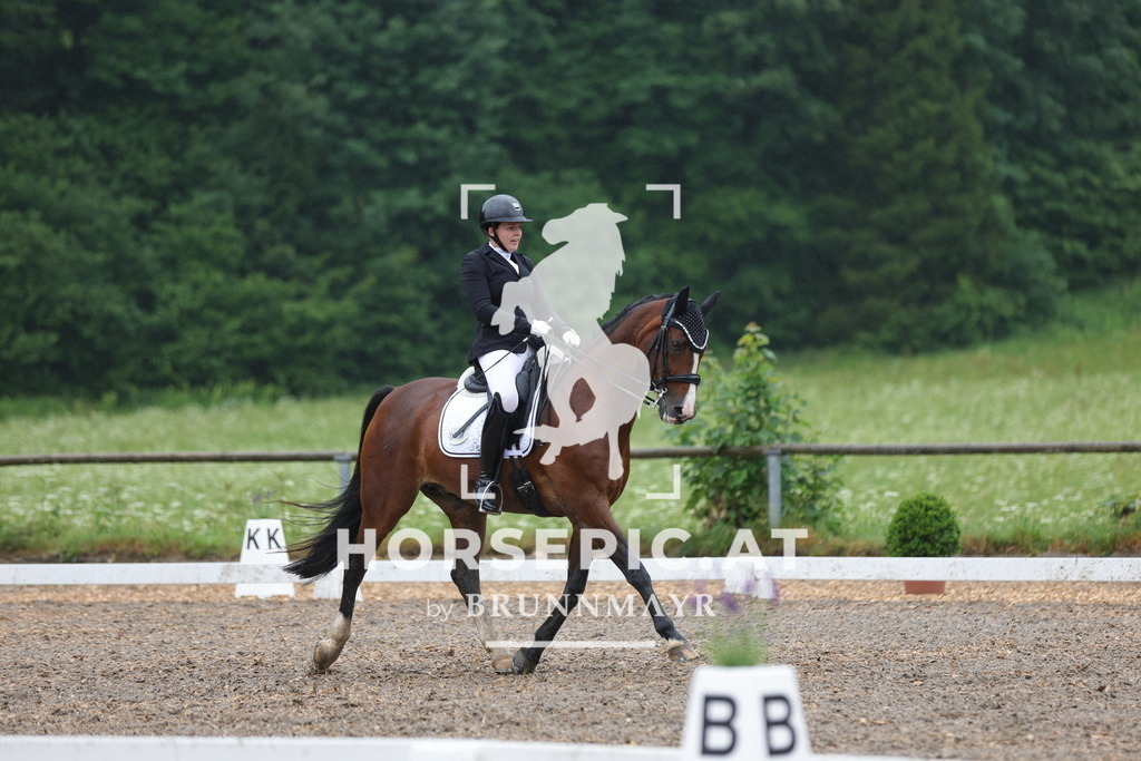 0P6A9160 | Willkommen bei Brunnmayr - Design & Fotografie – Ihrem Spezialisten für Reitturniere und Pferdeveranstaltungen in Oberösterreich, Salzburg und Bayern! Seit über 17 Jahren sind wir leidenschaftlich dabei.